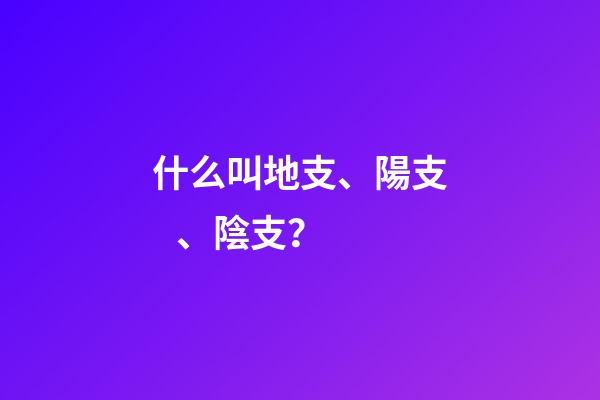 什么叫地支、陽支、陰支？